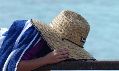 为您降本增效的网页攻击器